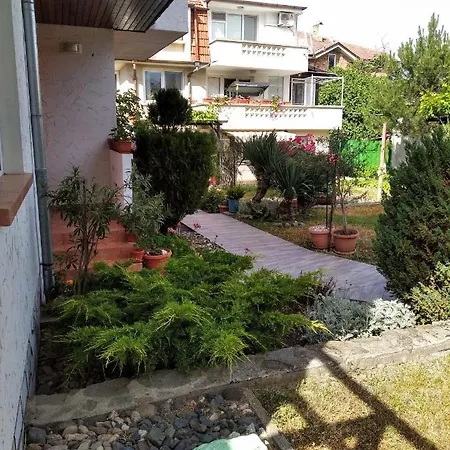 Kolevi * Lozenec