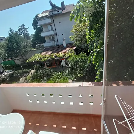 Kolevi *
