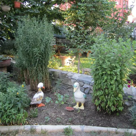 Guest house Kolevi *
